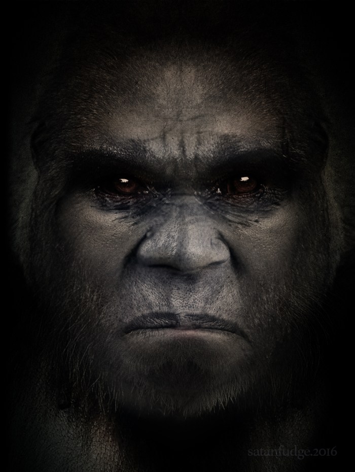 Bigfoot-Face-3.jpg