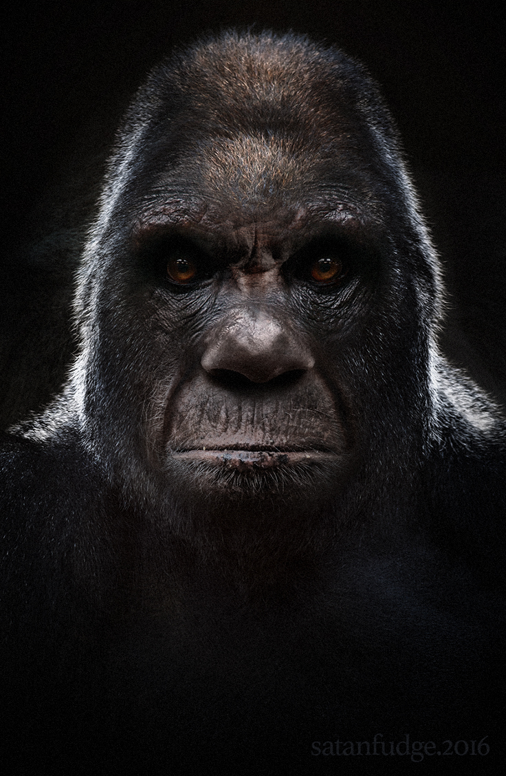 Sasquatch by Satanfudge