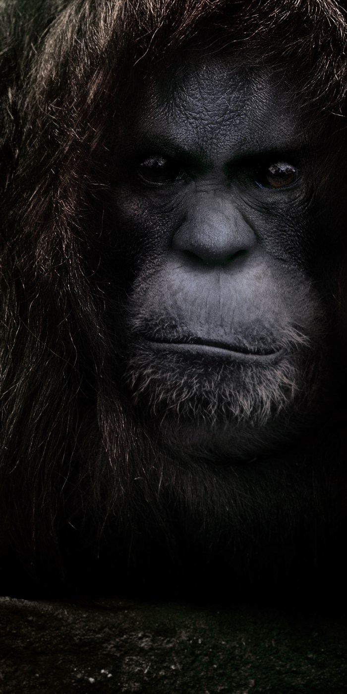 Sasquatch by Satanfudge