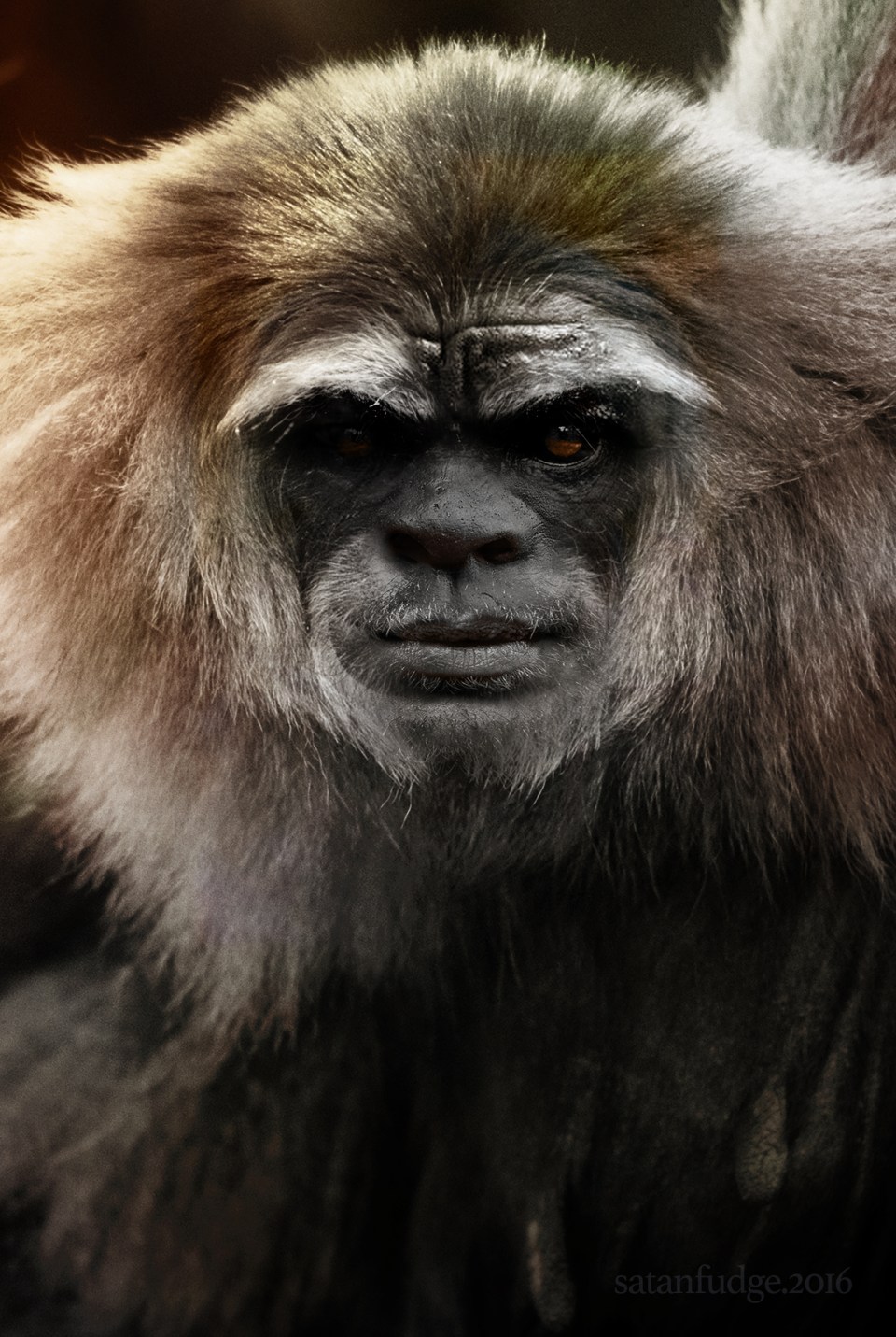 Sasquatch by Satanfudge