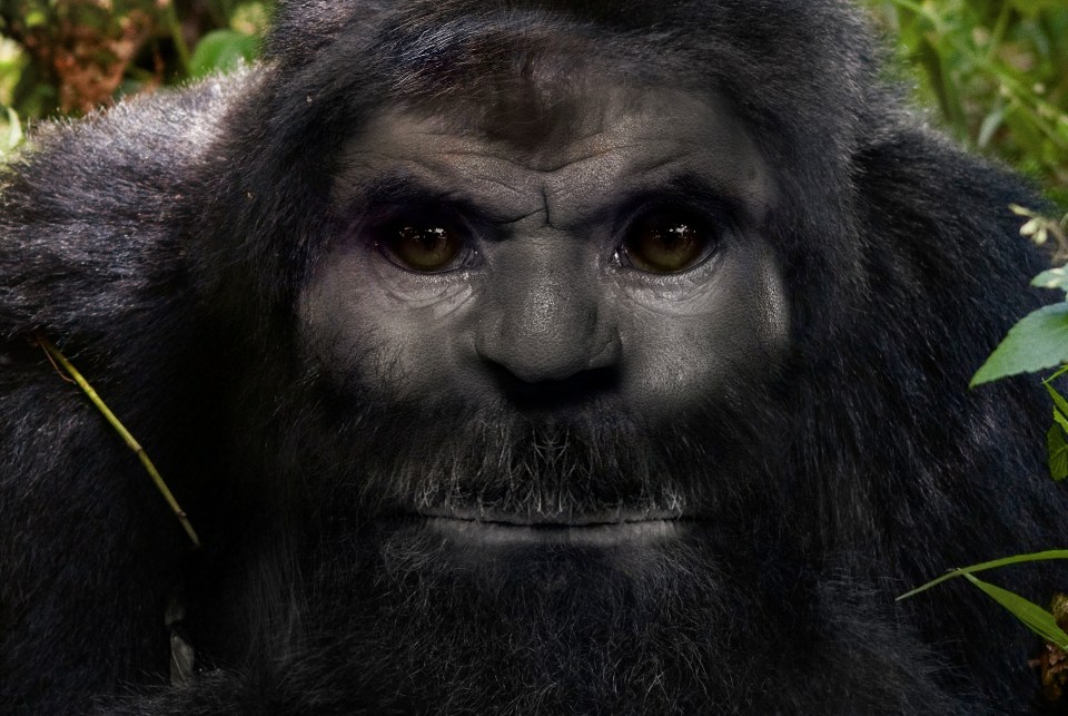 Sasquatch has human mitochondrial DNA but possesses nuclear DNA that is a structural mosaic consisting of human and novel non-human DNA.