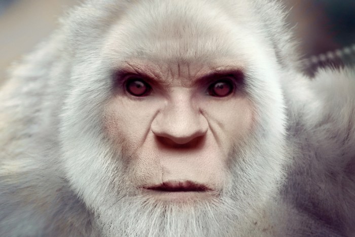 bigfoot-face-20