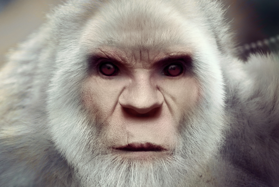 White Bigfoot Face