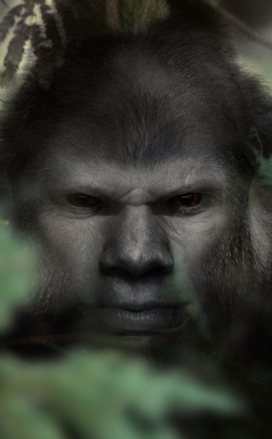 The Face of Bigfoot