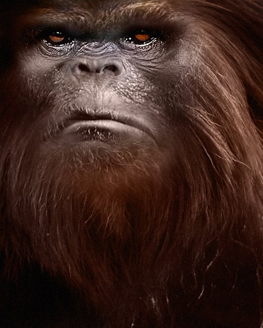 South Dakota Bigfoot