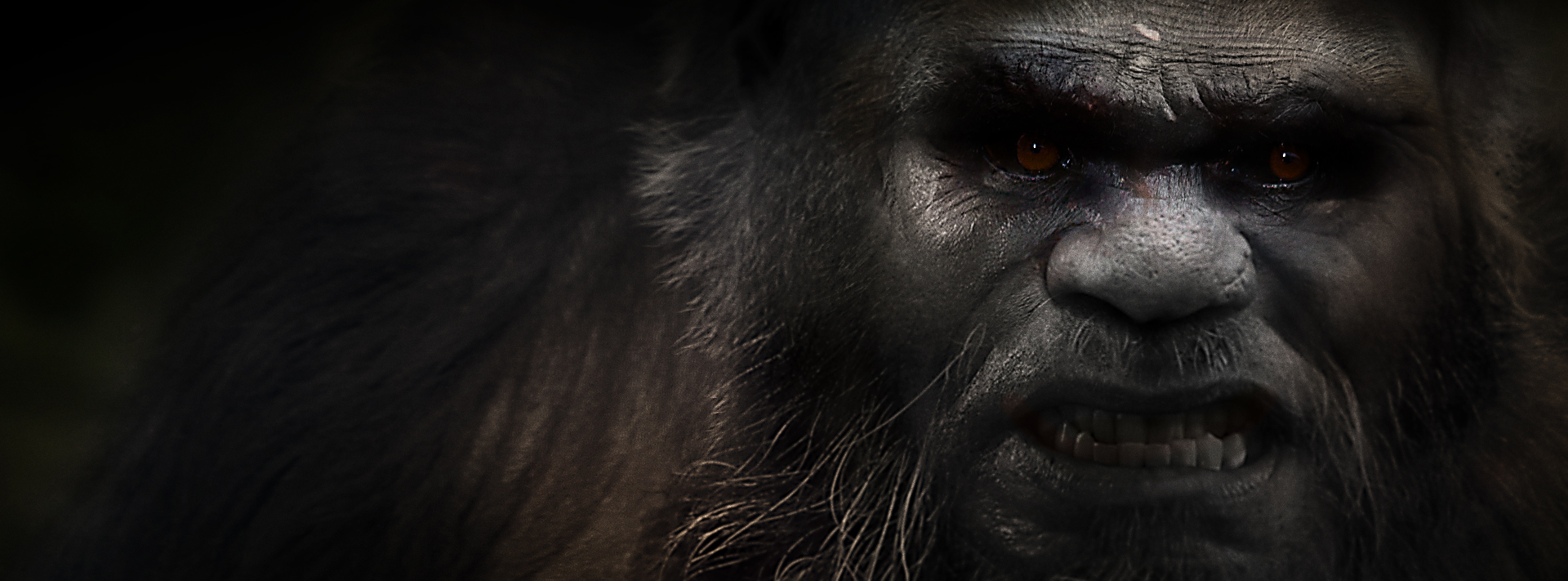 CLICK to see the collection