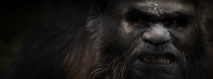 CLICK to see the collection