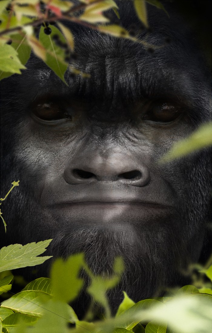 bigfoot-face-37-matt-07.0c