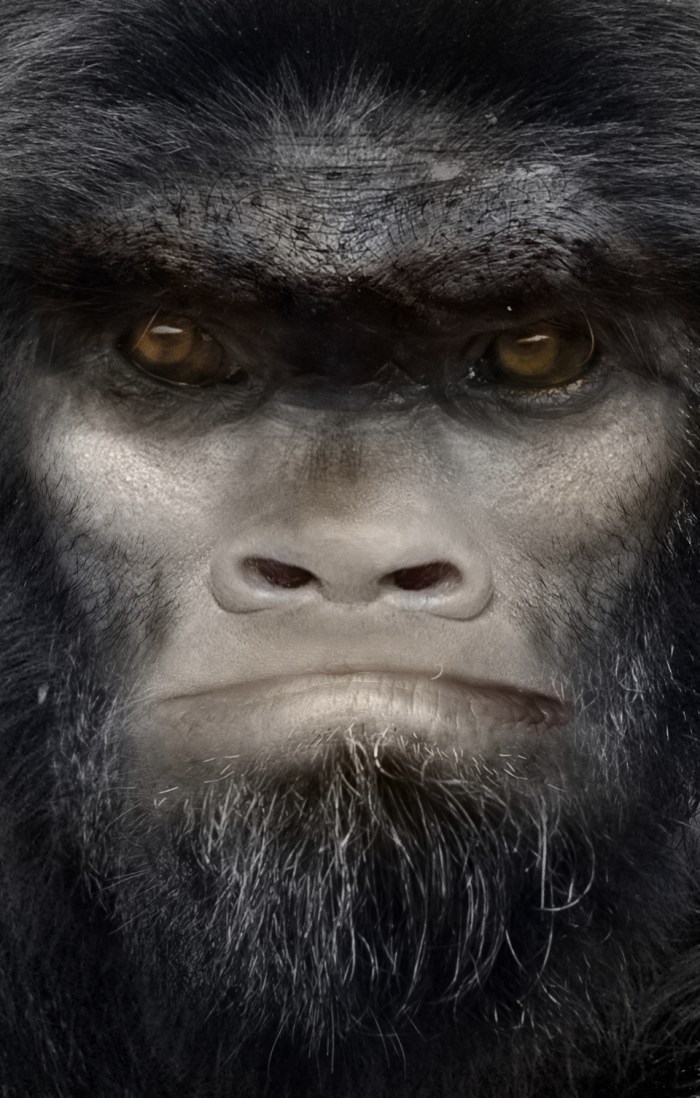 bigfoot-face-38