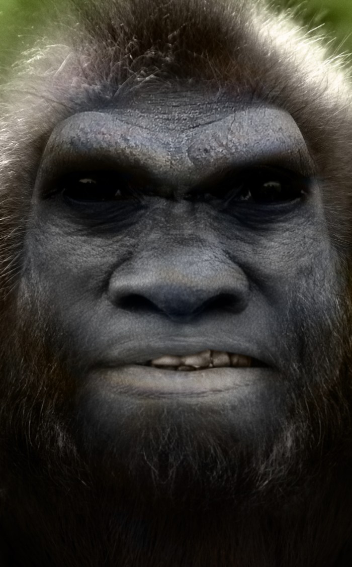 Built on the skull of an australopithecus afarensis