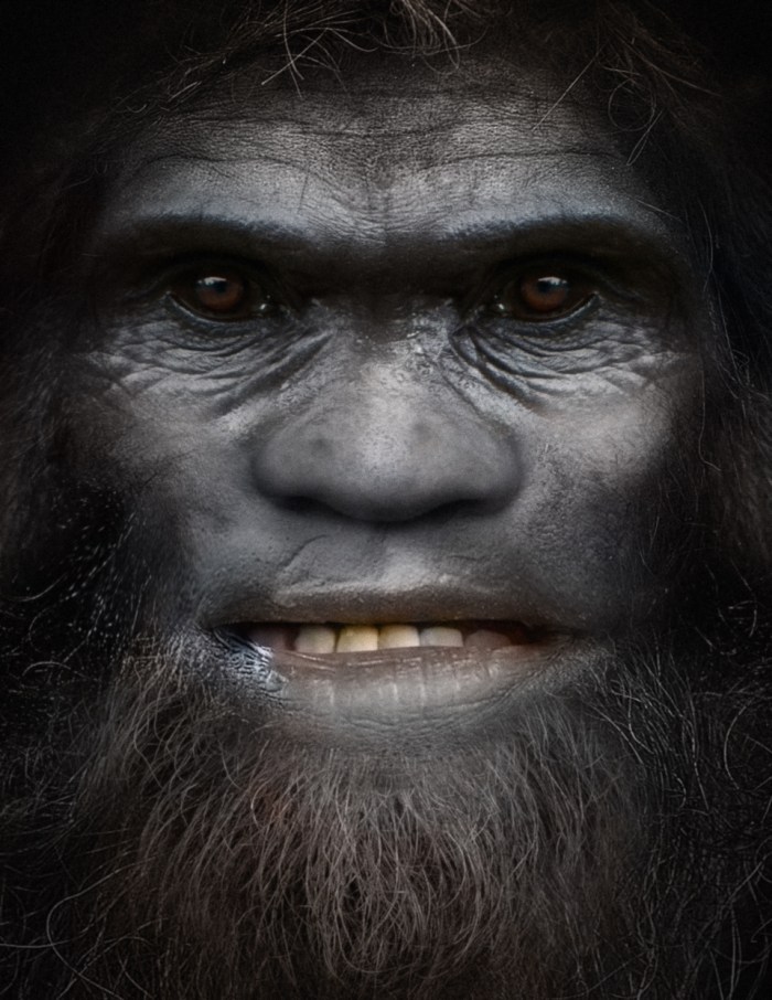 Bigfoot Face