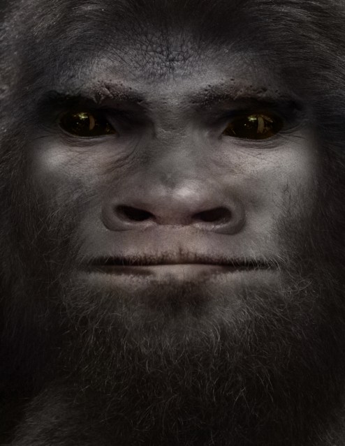Bigfoot Face