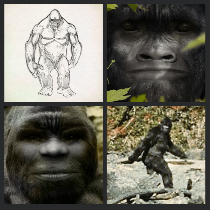 bigfoot411-type1-screen-cap