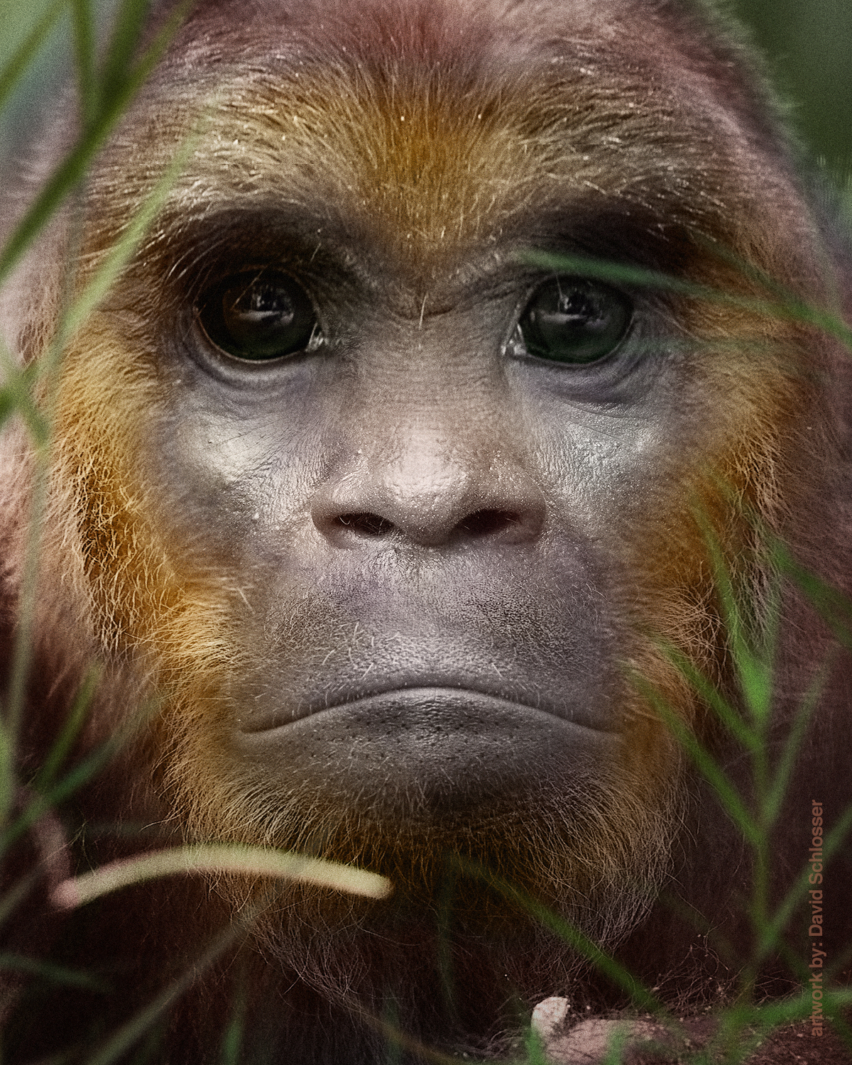 Eyewitness | Georgia