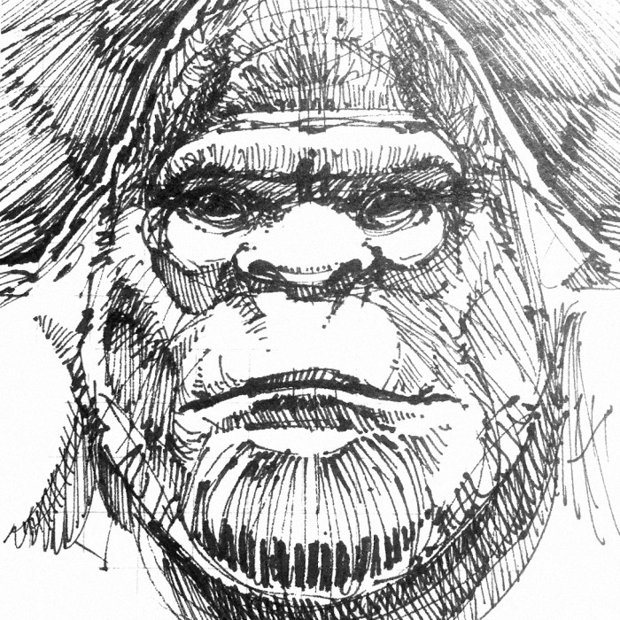 bigfoot-face-sketch