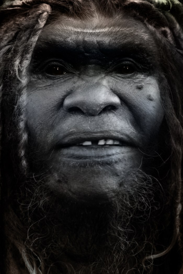 Bigfoot: An uncatalogued species of primate.