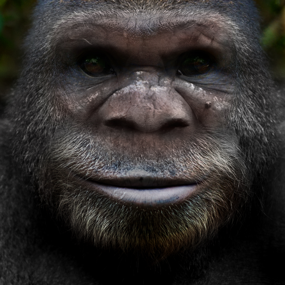 Bigfoot Face 61