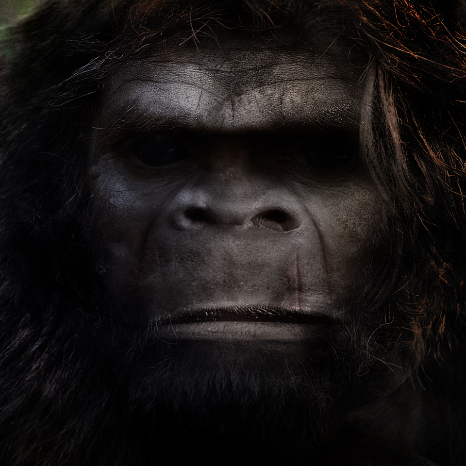 Sasquatch by Satanfudge