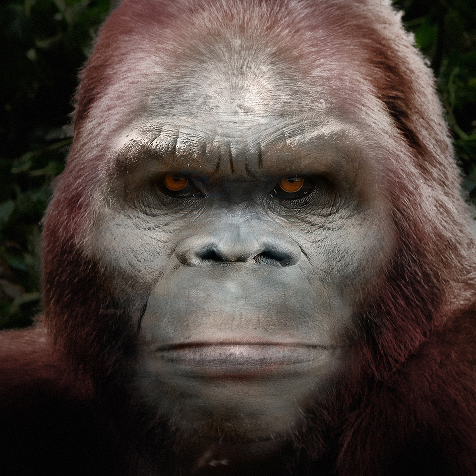 Eyewitness | Georgia