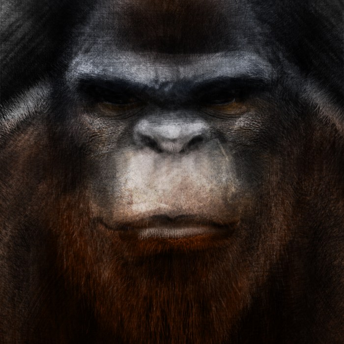 bigfoot-sketch-color-5