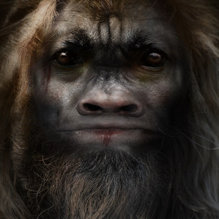 Bigfoot-Face-84.jpg
