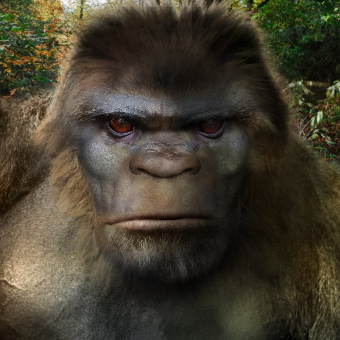 Bigfoot-Face-85b.jpg