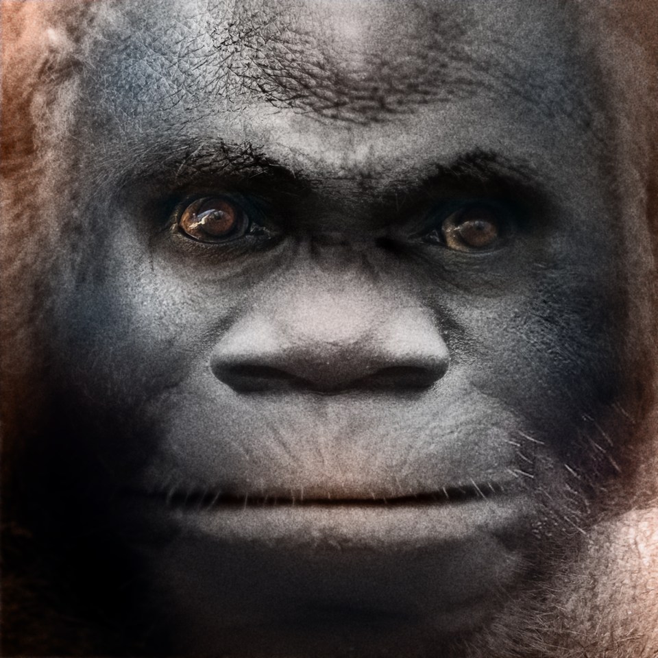 Bigfoot face by satanfudge.